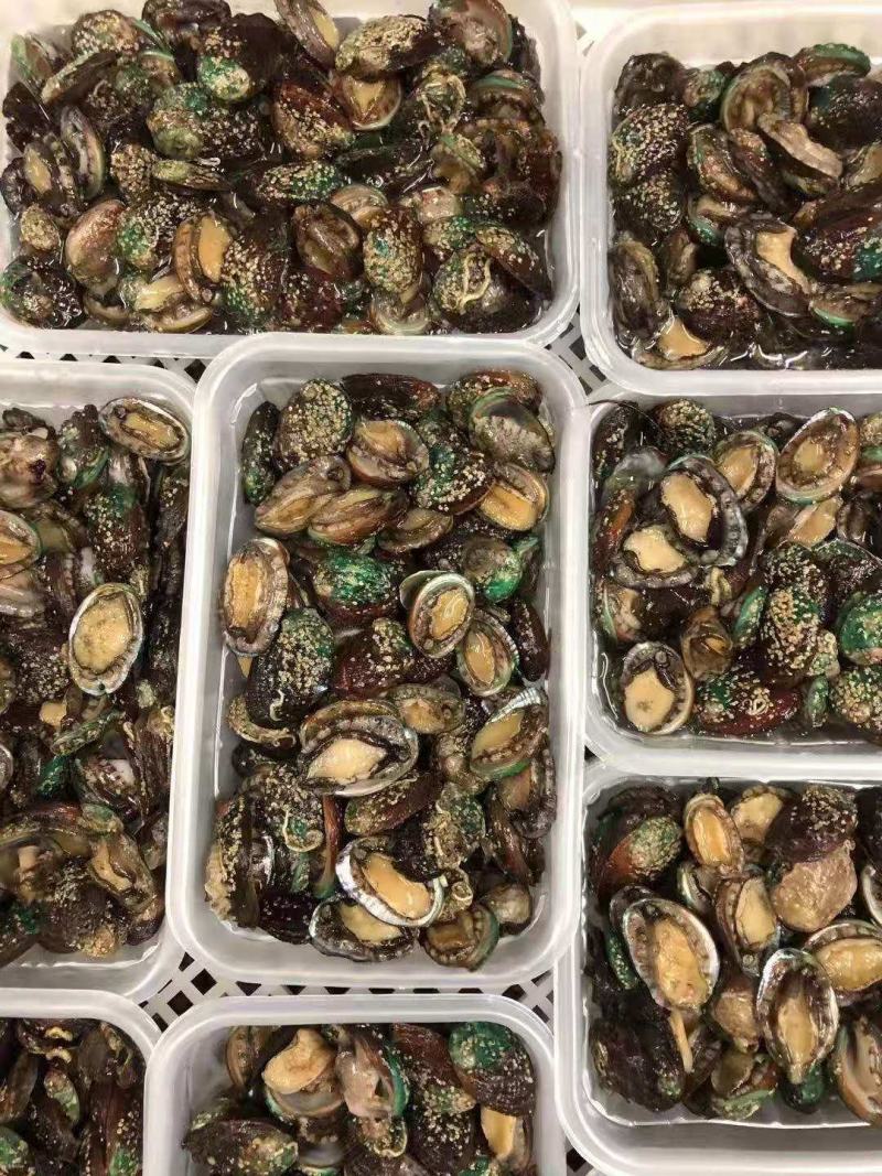 鲍鱼食用网红100头小鲍鱼保证包鲜支持全国发货