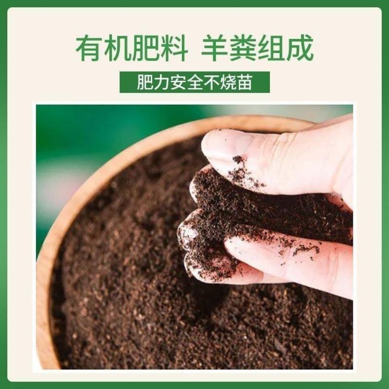 厂家常年批发干鸡粪纯牛粪发酵鸡粪牛粪羊粪