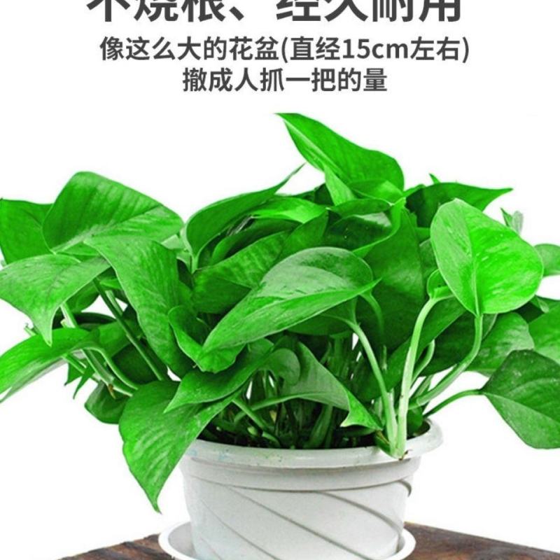厂家常年批发干鸡粪纯牛粪发酵鸡粪牛粪羊粪