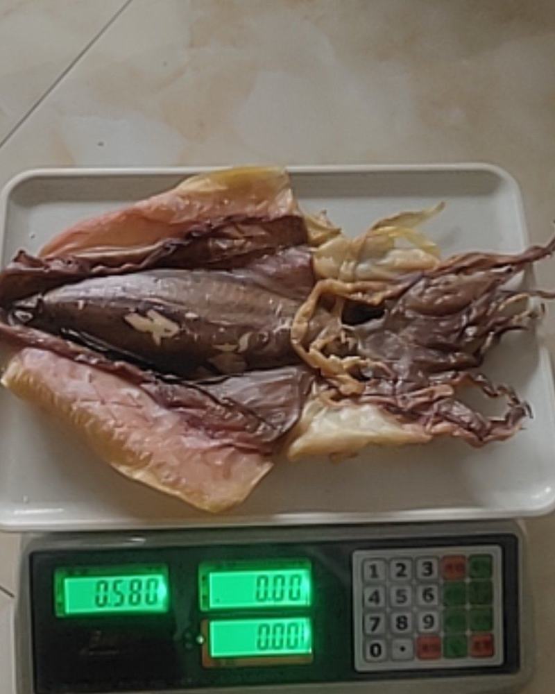 大墨鱼干现货干度足个大斤两足