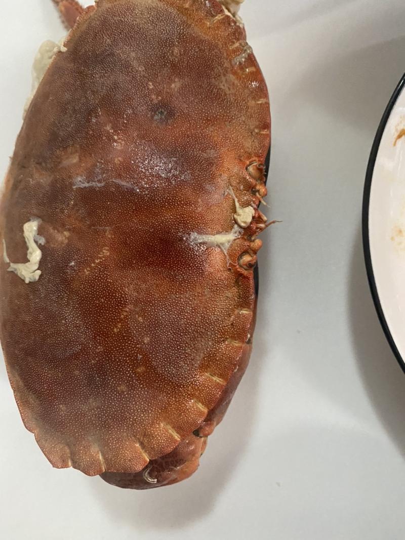 冰冻面包蟹品质保证规格1.2斤到2斤一只