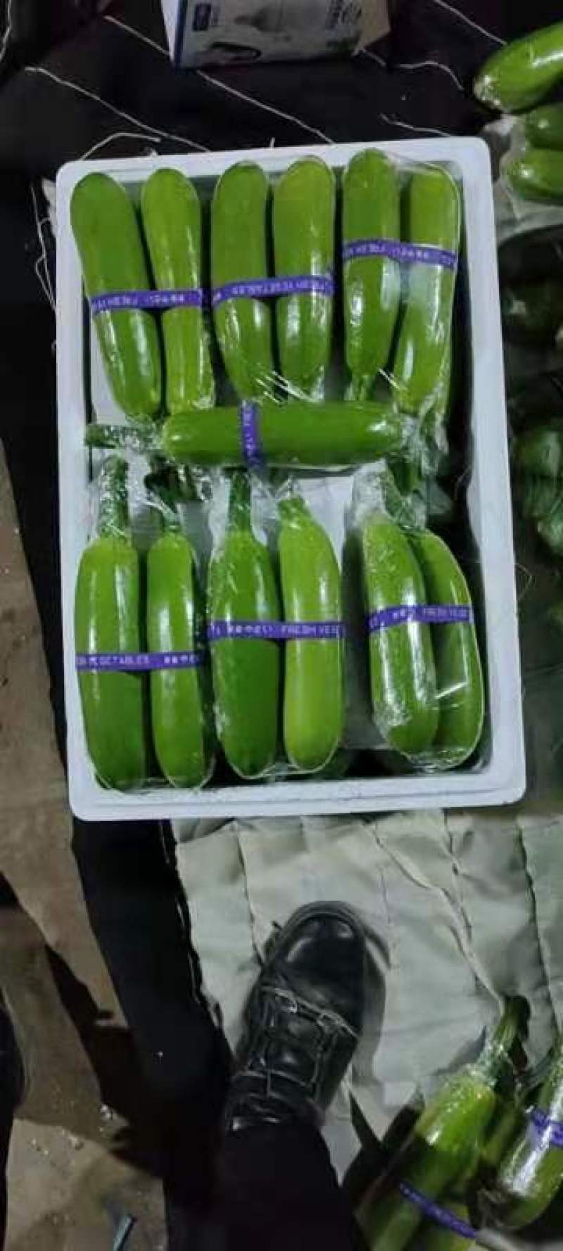 费县精品绿皮西葫芦（推荐）产地直发一手货源一条龙服务