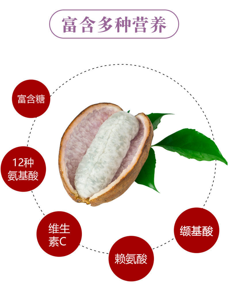 八月瓜苗籽少肉薄皮品种紫宝二号粉依青皮品种全