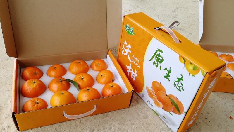 火爆佳品鲜香多汁广西沃柑