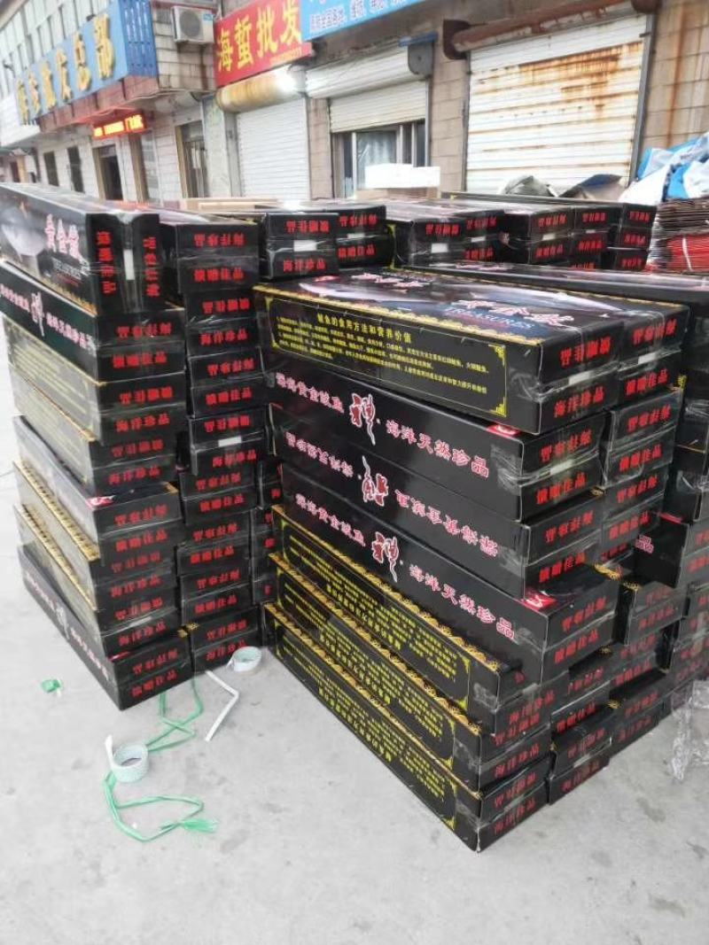 超级火爆的黄金鲅吨位批发