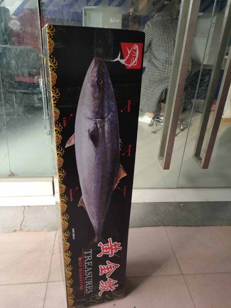 超级火爆的黄金鲅吨位批发
