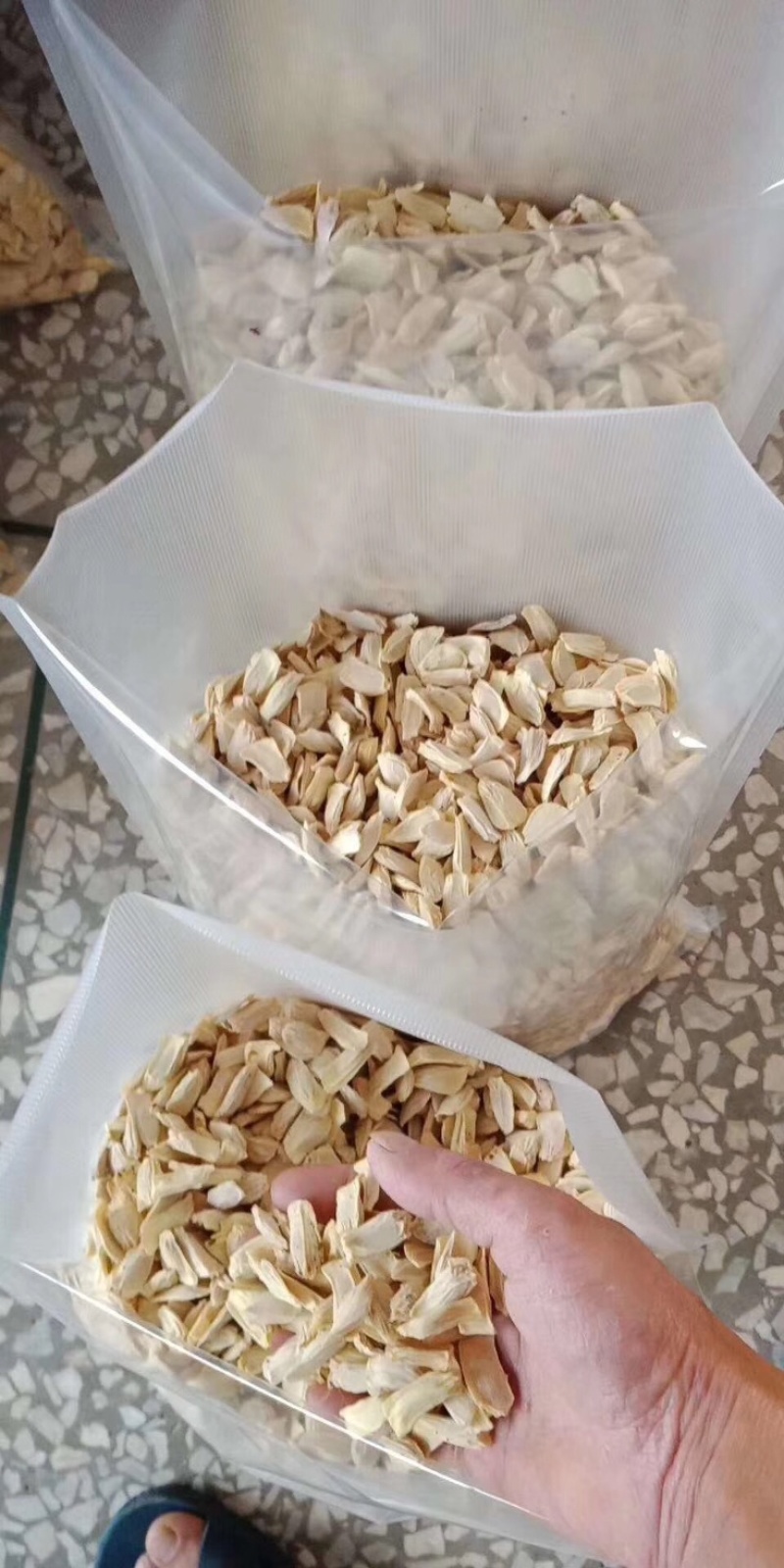 酸柚种子香泡种子果树种子柚子种子嫁接砧木