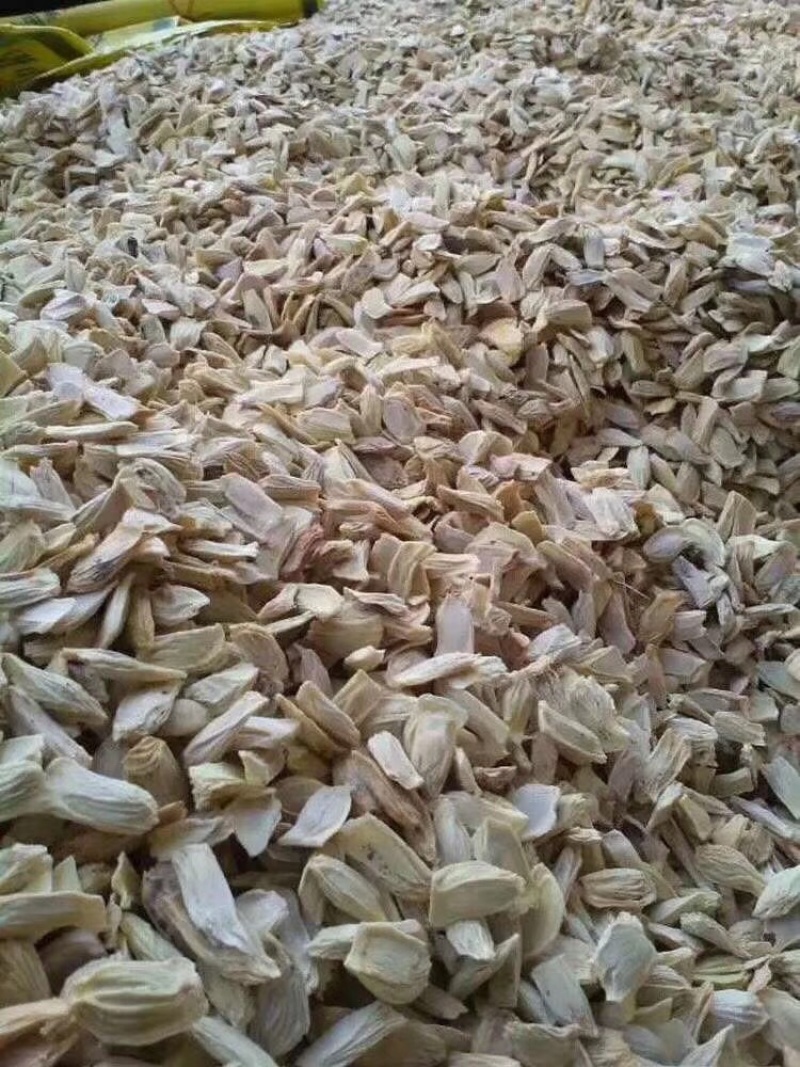 酸柚种子香泡种子果树种子柚子种子嫁接砧木