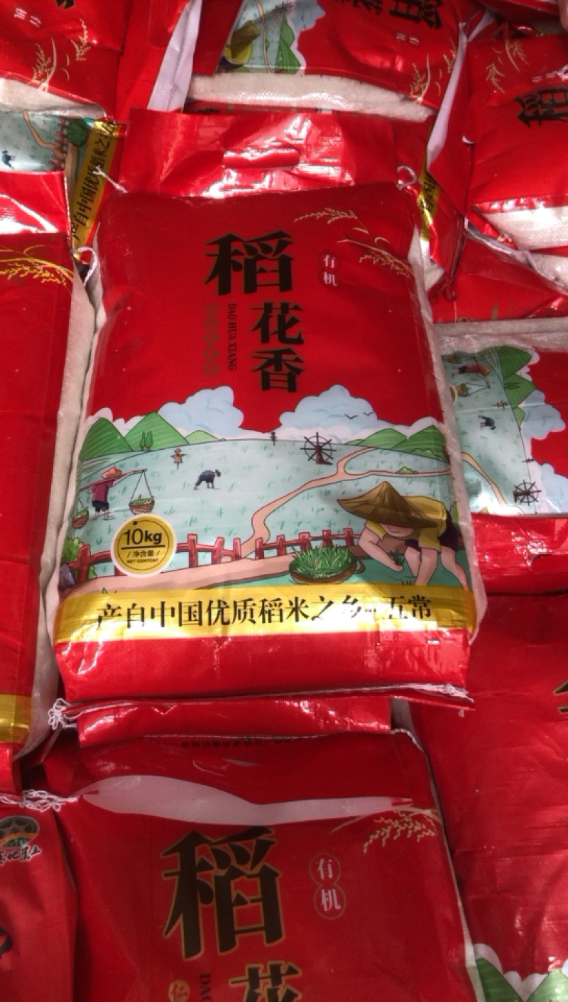 五常安家稻花香，庆安20-4