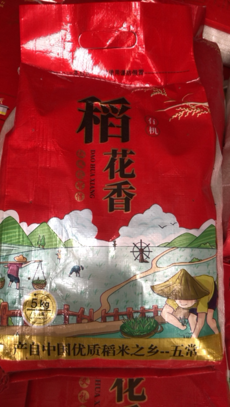 五常安家稻花香，庆安20-4