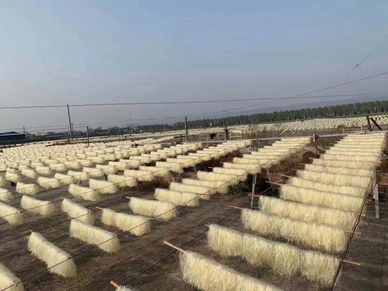 豌豆粉丝火锅粉丝产地批发跑江湖地摊10元3把热卖特产