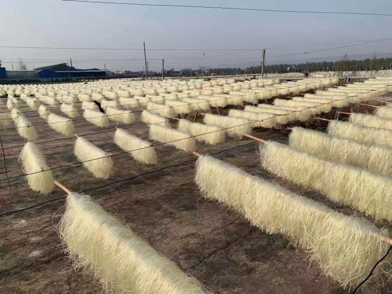豌豆粉丝火锅粉丝产地批发跑江湖地摊10元3把热卖特产