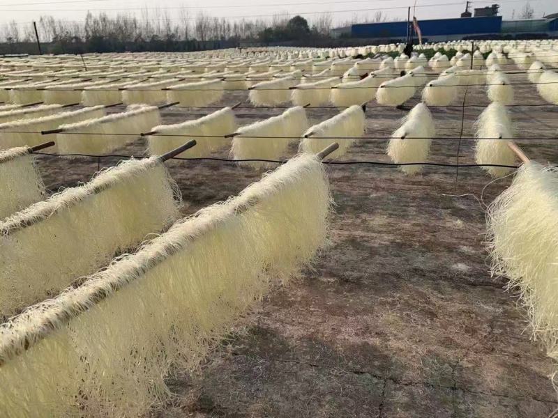 豌豆粉丝火锅粉丝产地批发跑江湖地摊10元3把热卖特产