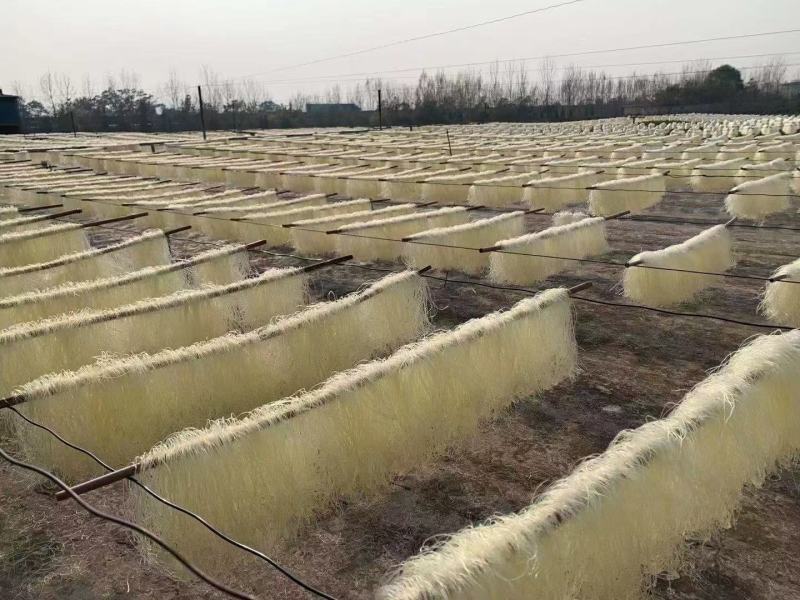 豌豆粉丝火锅粉丝产地批发跑江湖地摊10元3把热卖特产