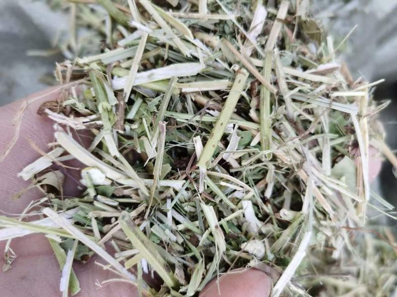 豫正江氏草业有限公司常年出售花生秧