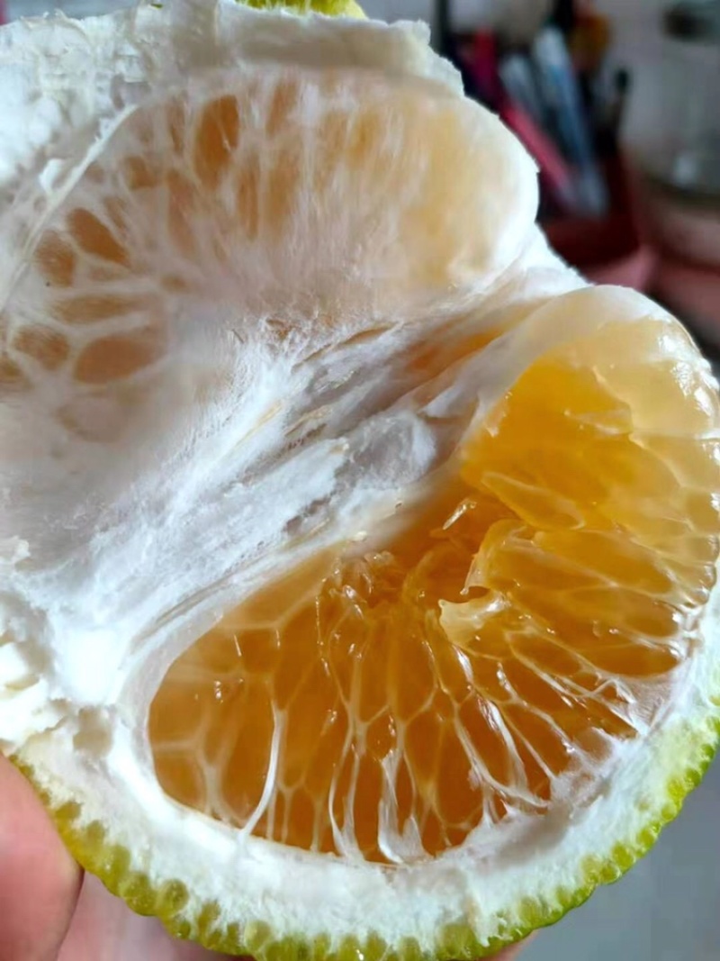福建平和，甜心柚，桔柚，爆汁款，不苦，不酸，纯甜水果
