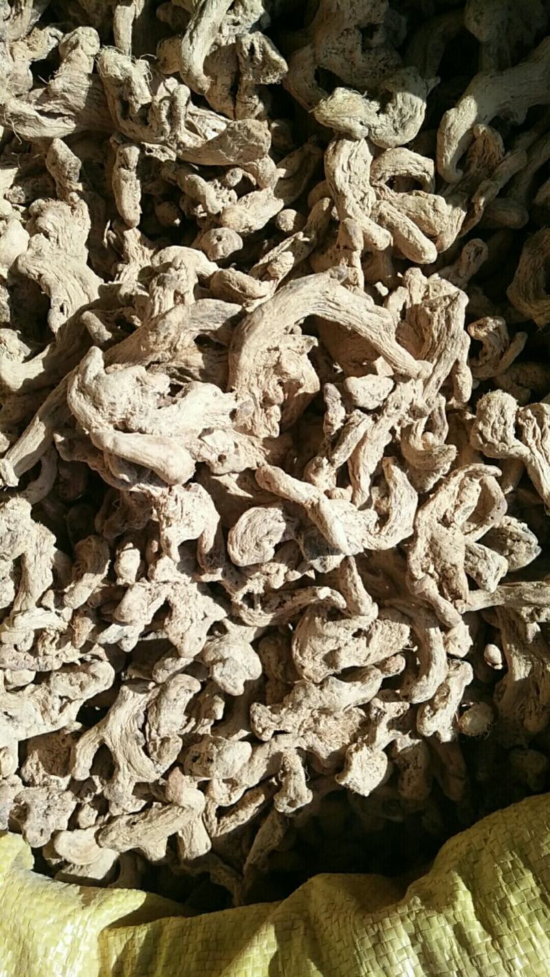 干姜(个子)采用云南当地产的小黄经清洗，凉晒，质好味正