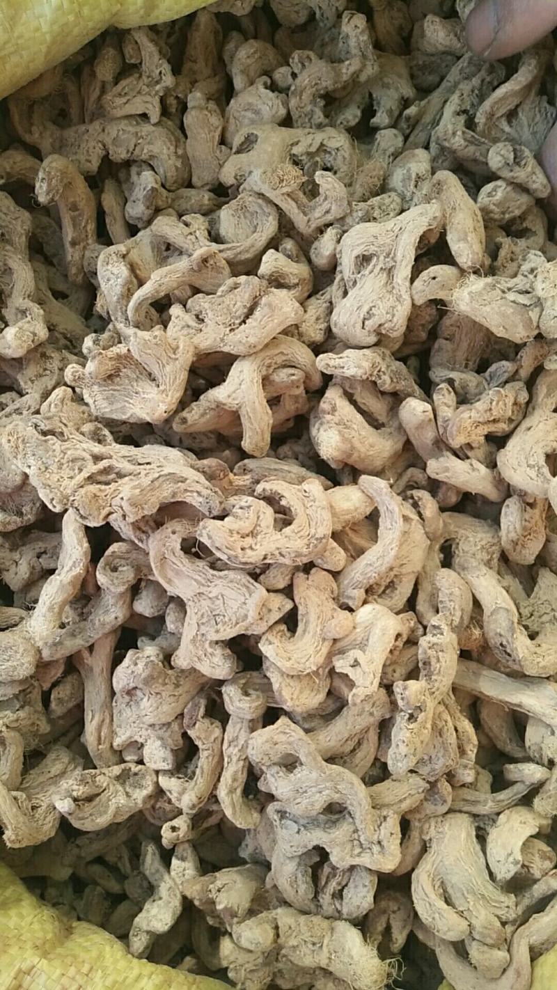 干姜(个子)采用云南当地产的小黄经清洗，凉晒，质好味正