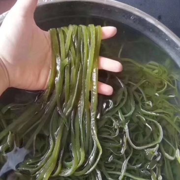 跑江湖地摊南海盐渍海带丝烘干海带丝凉拌干货摆地摊