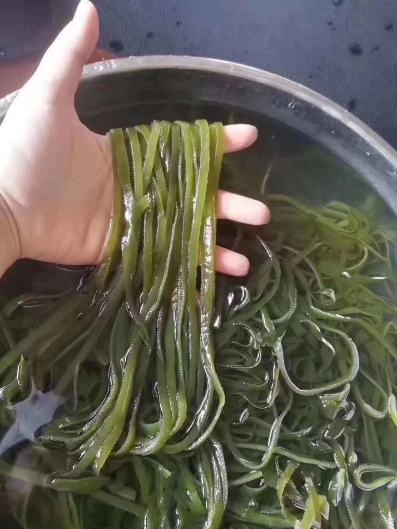 跑江湖地摊南海盐渍海带丝烘干海带丝凉拌干货摆地摊