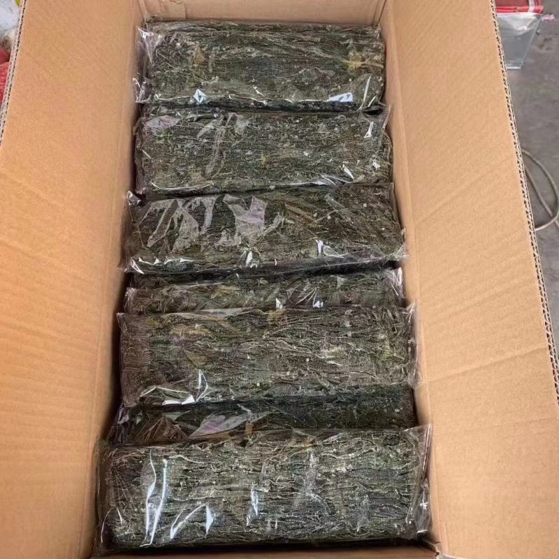 跑江湖地摊南海盐渍海带丝烘干海带丝凉拌干货摆地摊