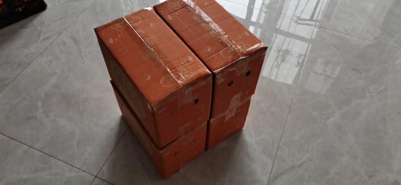 新宁脐橙果肥美香甜价格