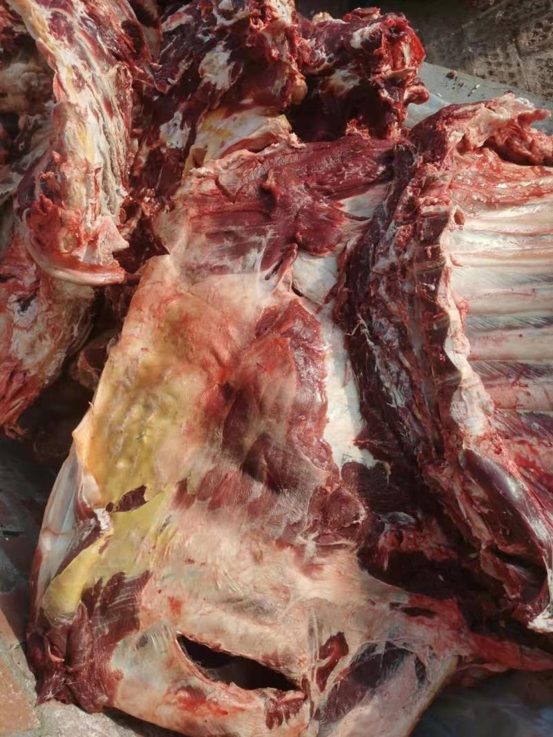 纯绿色沙漠骆驼肉，以及各个部位大量出售