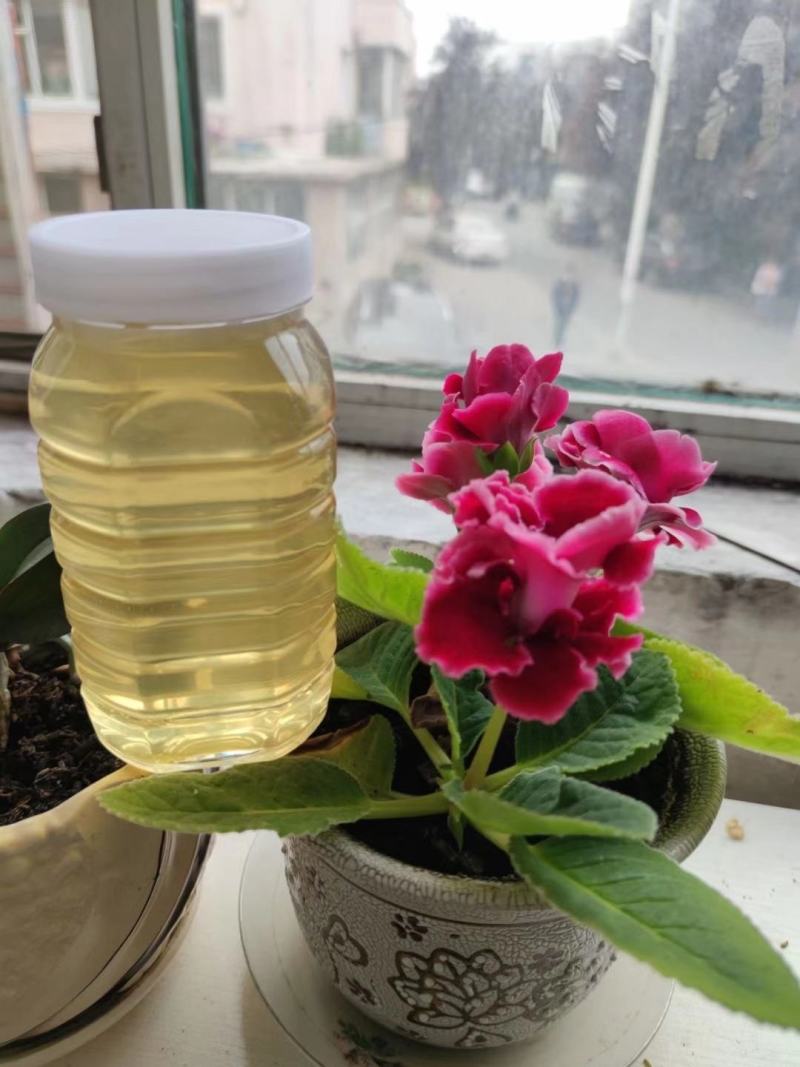 长白山百花蜜，椴树蜜，补充天然激素，让您年轻态，保证质量