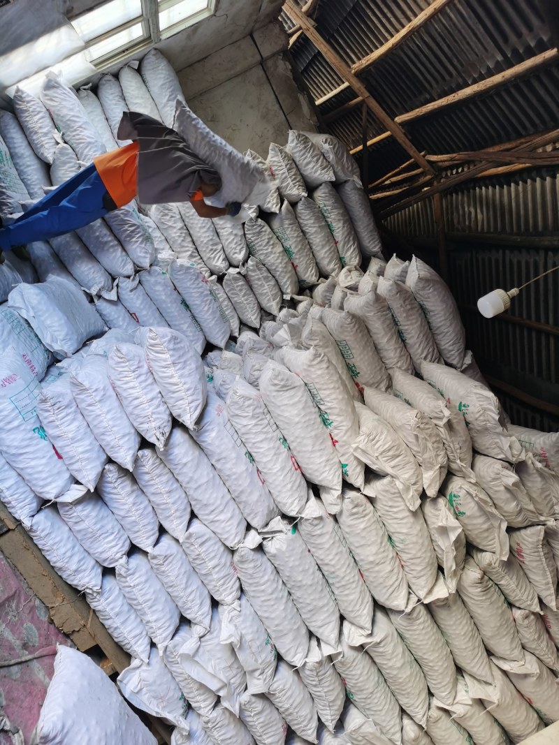 云南麻子核桃2020年新货产地直销颗粒饱满口感纯正米粒白