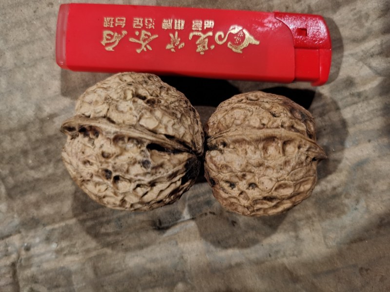 云南麻子核桃2020年新货产地直销颗粒饱满口感纯正米粒白