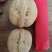 新疆薄皮核桃2020年新货中果大果颗粒饱满味道好产地值供