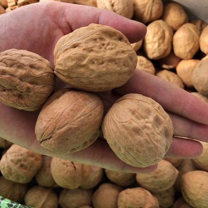 新疆薄皮核桃2020年新货中果大果颗粒饱满味道好产地值供