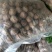 新疆薄皮核桃2020年新货中果大果颗粒饱满味道好产地值供