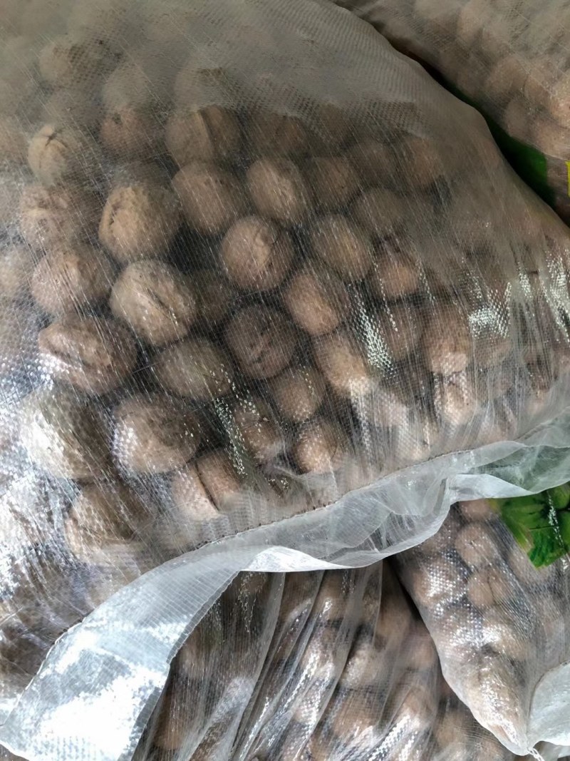 新疆薄皮核桃2020年新货中果大果颗粒饱满味道好产地值供