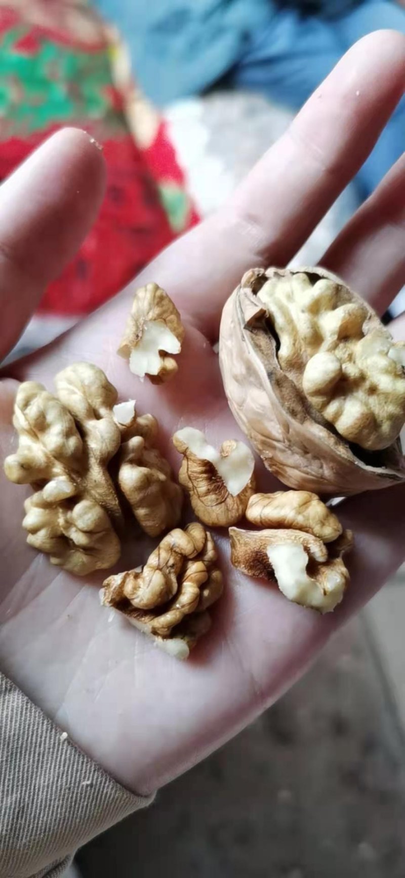 新疆薄皮核桃2020年新货中果大果颗粒饱满味道好产地值供