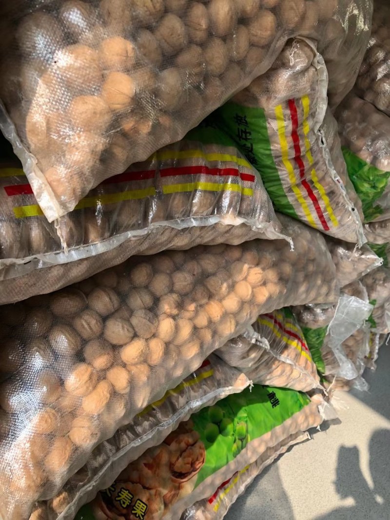 新疆薄皮核桃2020年新货中果大果颗粒饱满味道好产地值供