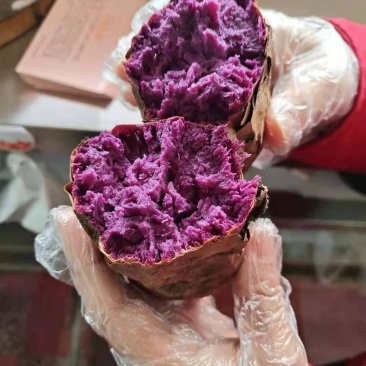 紫薯，自家种无丝沙甜紫薯，有意者联系