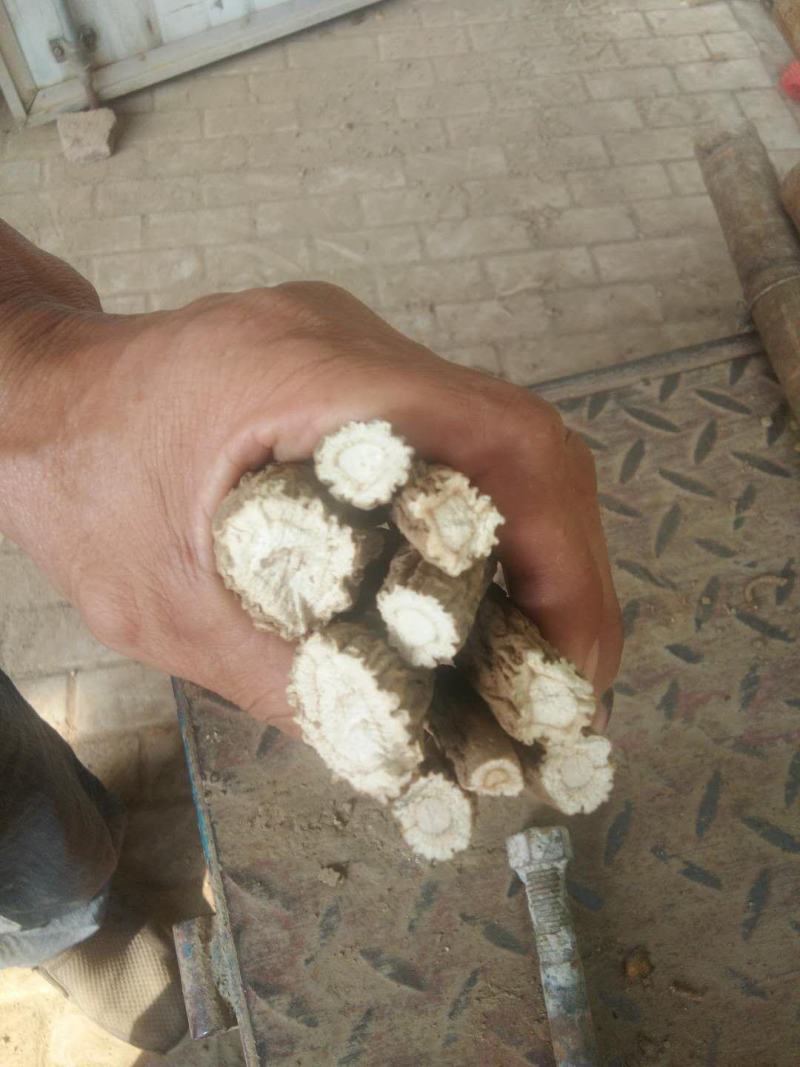 无硫白芷干货，40吨左右，货在山东，有需要联系