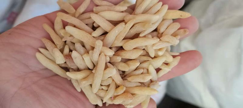 正品麦冬长期有货随时可聊品质保障
