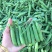 长寿仁豌豆代办需要的联系我