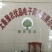 8公分巨紫荆树形优美9公分巨紫荆量大价格美丽