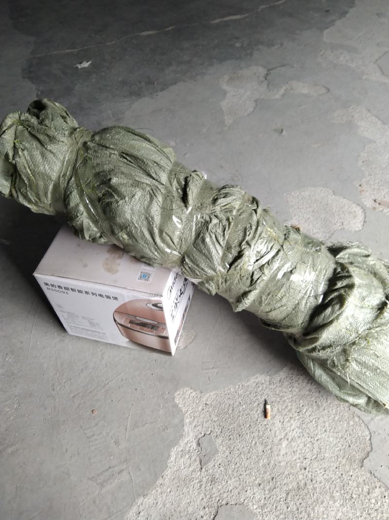 塔罗科血橙树苗:自产直销、诚信交易、品质保证，提供种植技