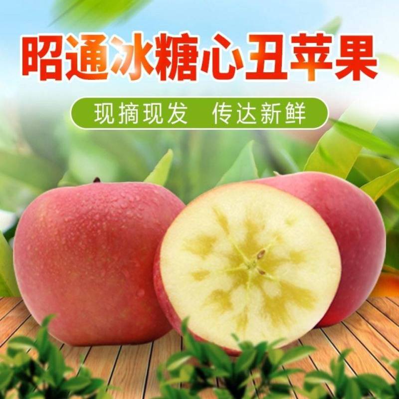 昭通苹果冰糖心丑苹果代办，电商平台供应链一件代发。团购。