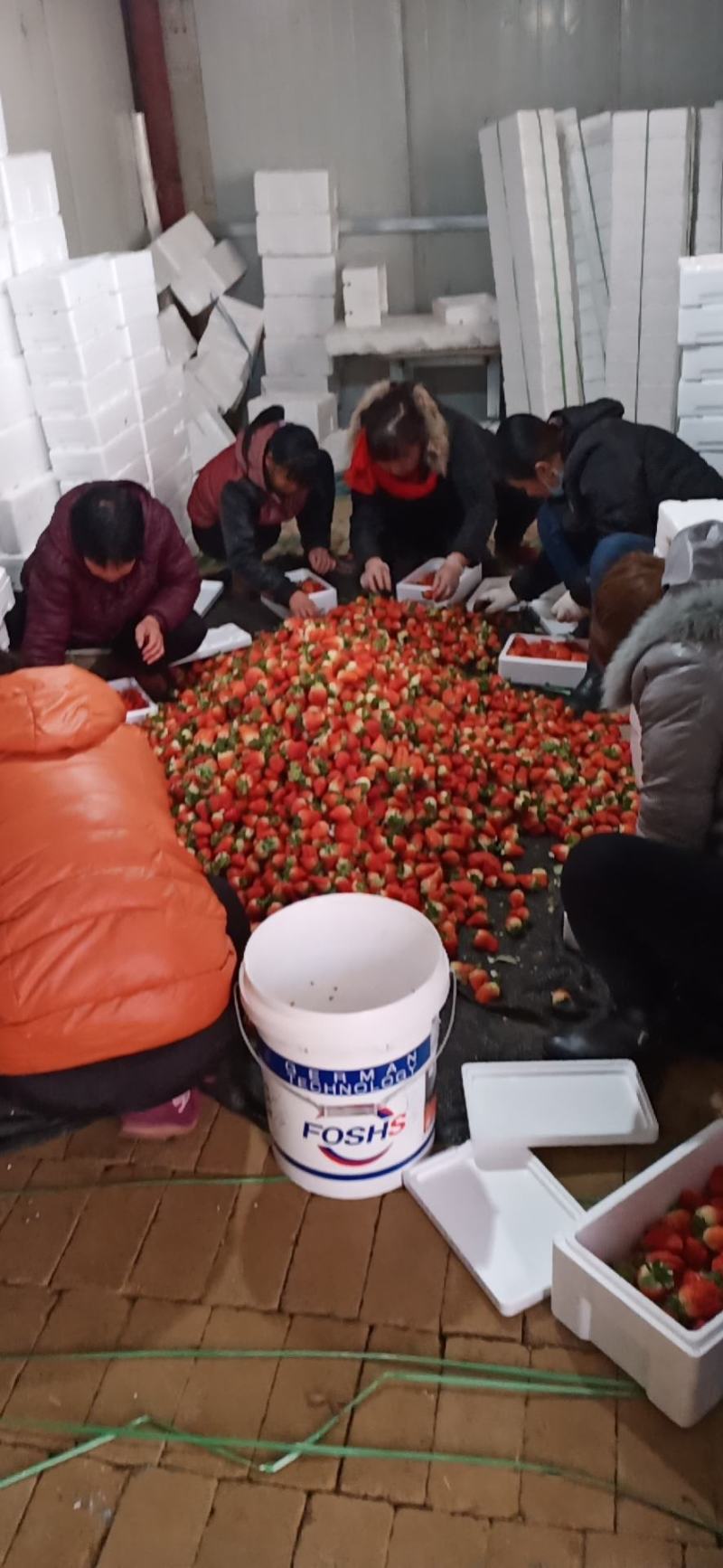 奶油大草莓好吃不贵，经济实惠