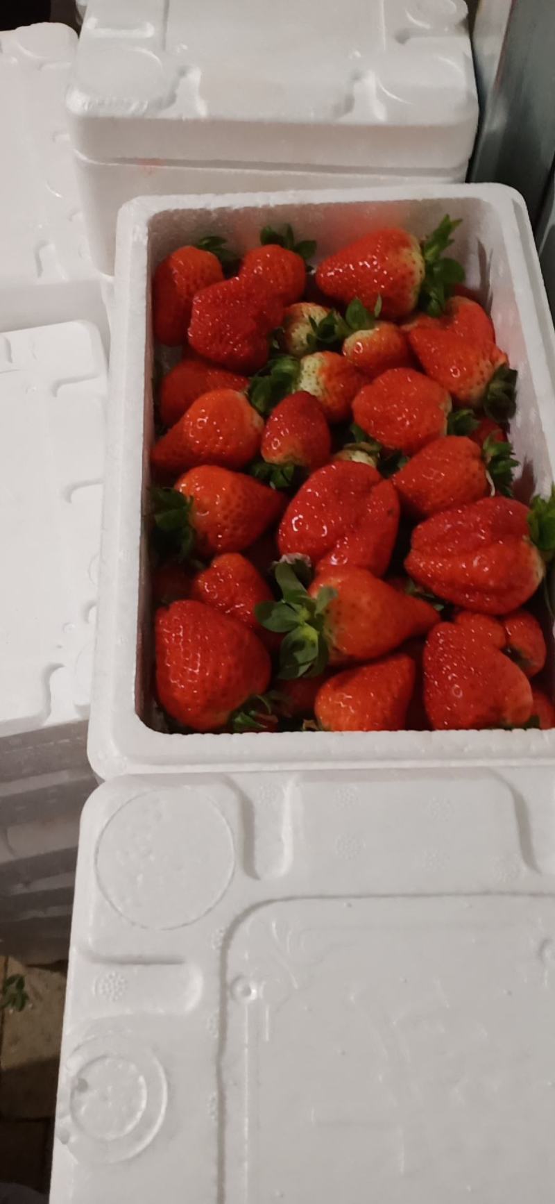奶油大草莓好吃不贵，经济实惠