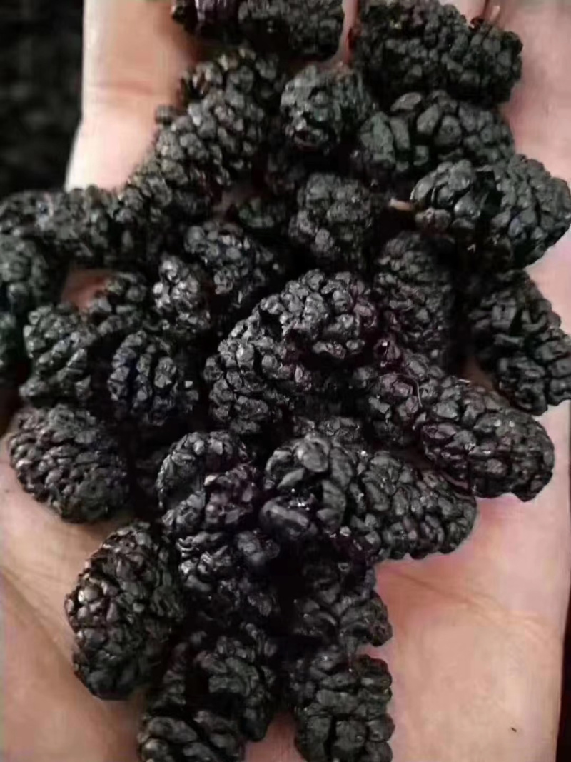 新疆黑桑葚干，干净无沙，
