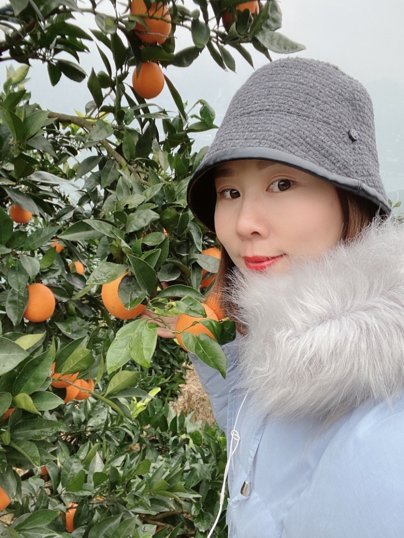 秭归脐橙纽荷尔长虹中华红自家果园，量大从优.