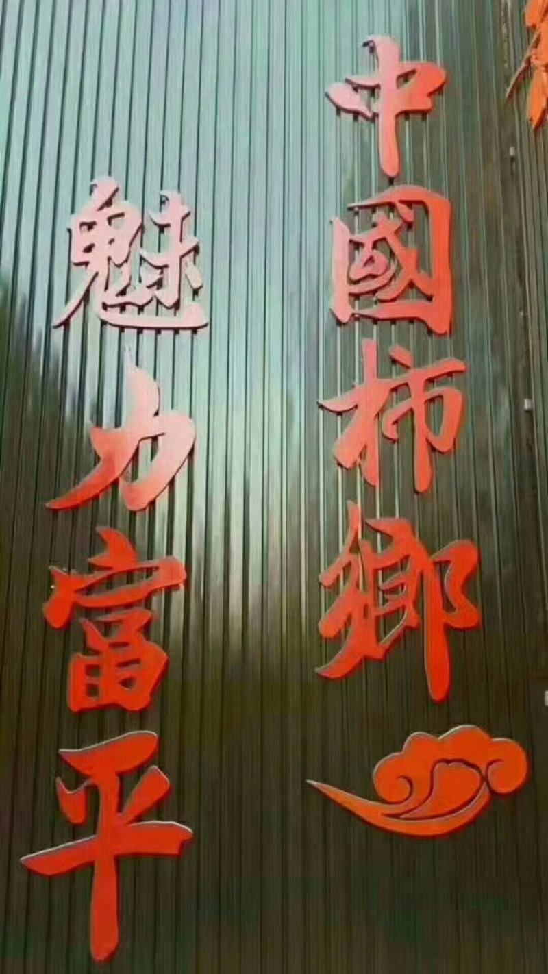 陕西富平柿饼正宗天然降霜流心吊饼年终特价发出不退换化