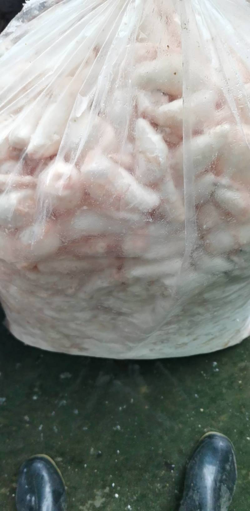 鱼泡，新鲜白鲢宰杀，现杀带血丝冰鲜发货，物流专线