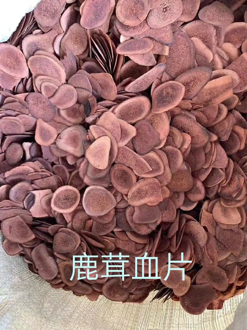 【需要一定要私聊我】长白山鹿茸片，鲜的，干的，切片都有